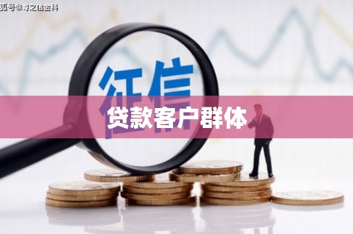 高树贷款客户群体
