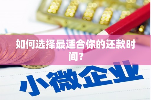 高树如何选择最适合你的还款时间？