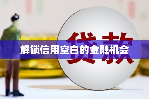 高树解锁信用空白的金融机会