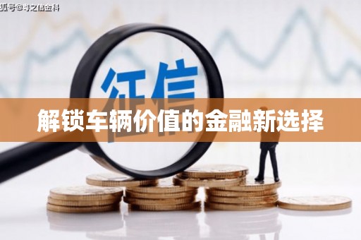 高树解锁车辆价值的金融新选择