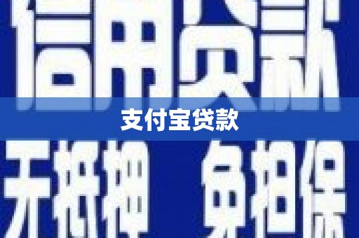 高树支付宝贷款