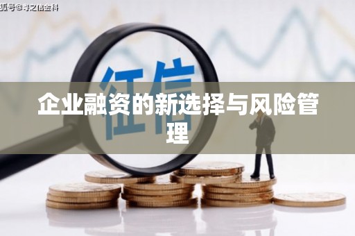 高树企业融资的新选择与风险管理