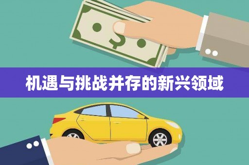 高树机遇与挑战并存的新兴领域