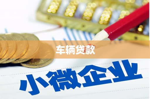 高树车辆贷款