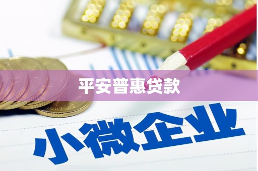 高树平安普惠贷款